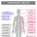 서울노블레스의원