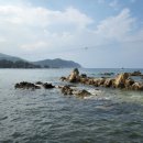 장호라임펜션 이미지