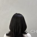 머릿결 푸석한 분들 주목, 동백미용실 찰스리헤어테크 용인동백점 3단계 모발클리닉 후기