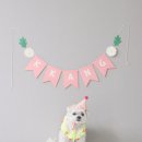 푸플리 케이크 | 강아지생일케이크 깡이 14번째 생일은 푸플리케이크로 파티해줬어요