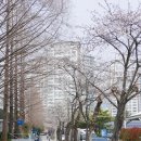 가나다한의원 | 2026년 롯데자이언츠 시즌권 수령 후기 : 카드 키링 짐색 풀패키지 # 올해는 제발 가을야구 기원!