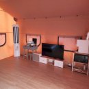 도그팰리스 이미지