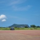 (주)유민 | [여행] 제주도 볼거리🍊 - 유민 아르누보 뮤지엄(feat. 섭지코지)