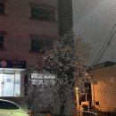 남산지구대 | 이태원 경리단길 : ‘쿠시노리’ • 분위기 좋은 해방촌 이자카야