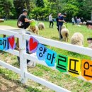 남해-179 이미지