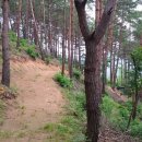 설하관광농원 이미지