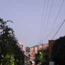 담양참숯돼지갈비 | 담양참숯돼지떡갈비 참숯돼지갈비 2인 떡갈비2인