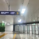 사라펫 | 2024 수원 메쎄 케이펫페어 관람후기
