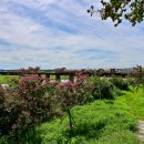 비비정예술열차 이미지