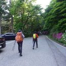 서리산(남양주) 2024.5.4. 이미지