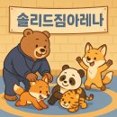 솔리드짐 아레나 이미지