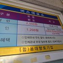 들림촌 티스토리