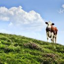 종대농장 이미지