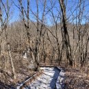 공골농장 이미지