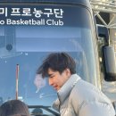 아레나스타필드고양 이미지