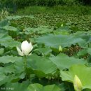 참샘골농원 이미지