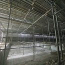 팔마수영장 이미지