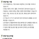 고양이의 봄, 묘랑묘랑 이미지