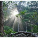 (주)예스헬스케어 이미지