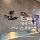 닥터스칼프분당 - 성남시 분당구 돌마로 75 | 닥터스칼프분당