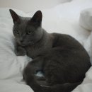 금수세탁 이미지