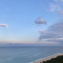 동해시-30 | 강릉 필수코스! "동해기정" 한판 30개 먹어본 리얼후기 🍞🌊