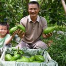 치현농장 이미지