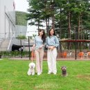 파크필드 이미지