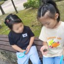 대전도솔유치원 이미지