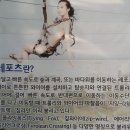 대천스포츠 이미지