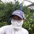 현주네농장 이미지