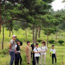 대가야센터-5 이미지