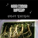 진 한약국 이미지