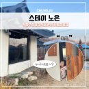 스테이노은 이미지