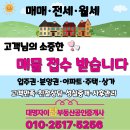 미소자이부동산공인중개사사무소 이미지