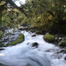 선의행정사사무소 이미지