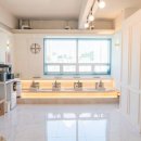 필라펠리스 이미지