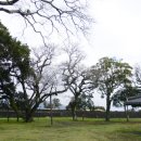 성읍리-13 이미지