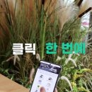 (주)토마토렌트카 이미지