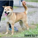 까치농장 이미지