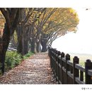 풍경이 머무는 곳 이미지