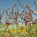 남화농장 네이버블로그