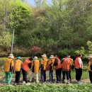 남산에서 '기억 숲 산책'…산림 치유, 치매 예방 효과 입증 이미지