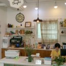 마리네 동물병원 이미지