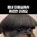 동네미용실