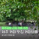 제주공항 근처 카페 추천 제주 커피템플 드립백 선물 제주도 커피 맛집
