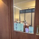 스테이 다다르다 이미지