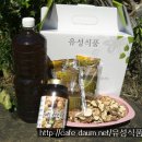 희망건강원 Daum카페
