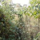 웅포농장 이미지