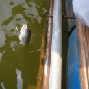 냉정 낚시터 이미지